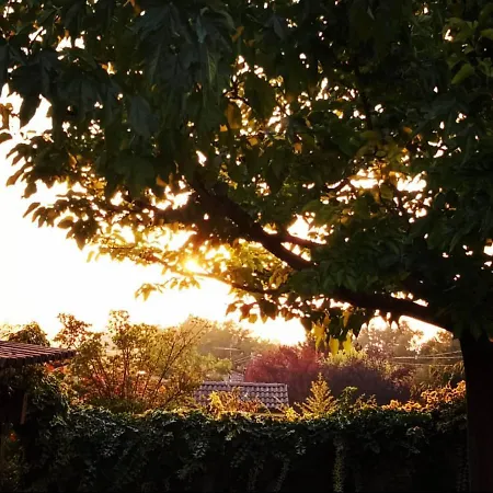 Anticacascina Bed & Breakfast Quarto (Asti)