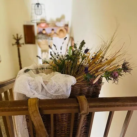 Bed & Breakfast Anticacascina 3*