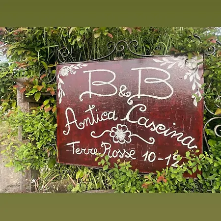Bed & Breakfast Anticacascina Quarto (Asti)