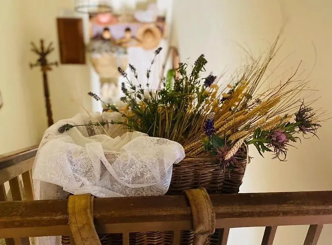 Bed & Breakfast Anticacascina 3*