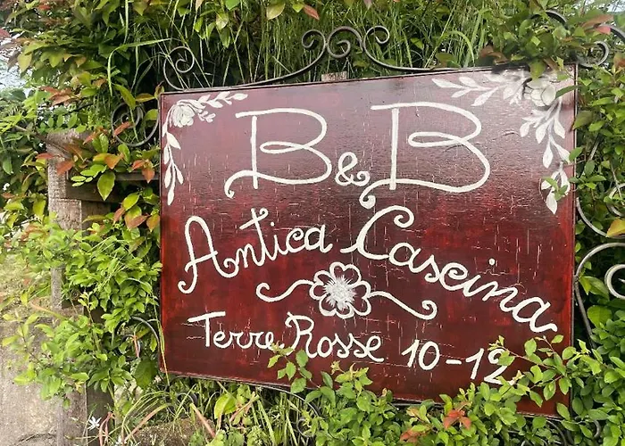 Bed & Breakfast Anticacascina Quarto (Asti)